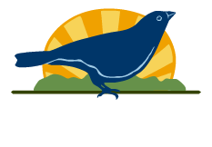 logo Sanhaçu