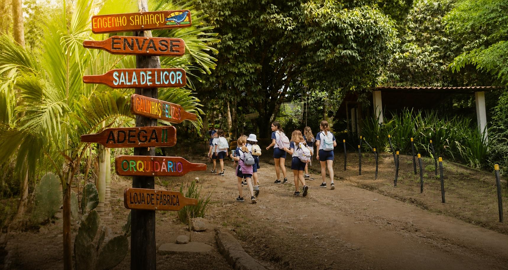Visitação